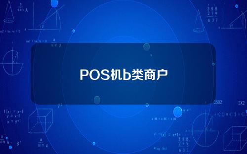 POS机b类商户