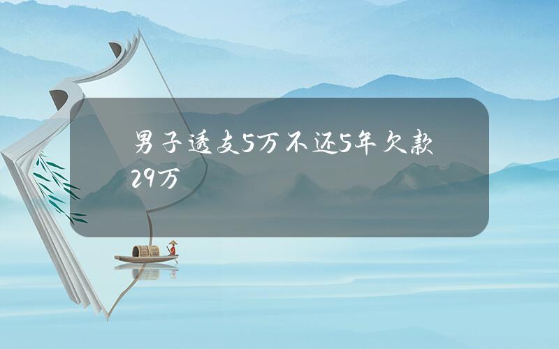 男子透支5万不还 5年欠款29万