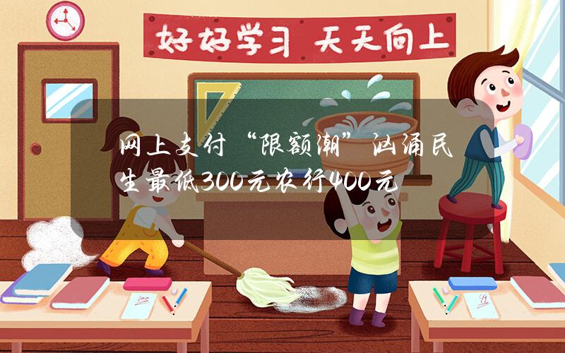 网上支付“限额潮”汹涌 民生最低300元农行400元