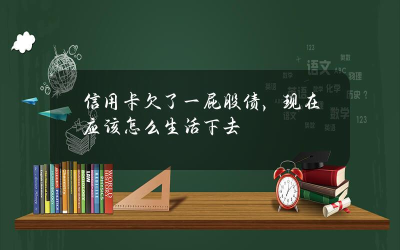 信用卡欠了一屁股债，现在应该怎么生活下去？