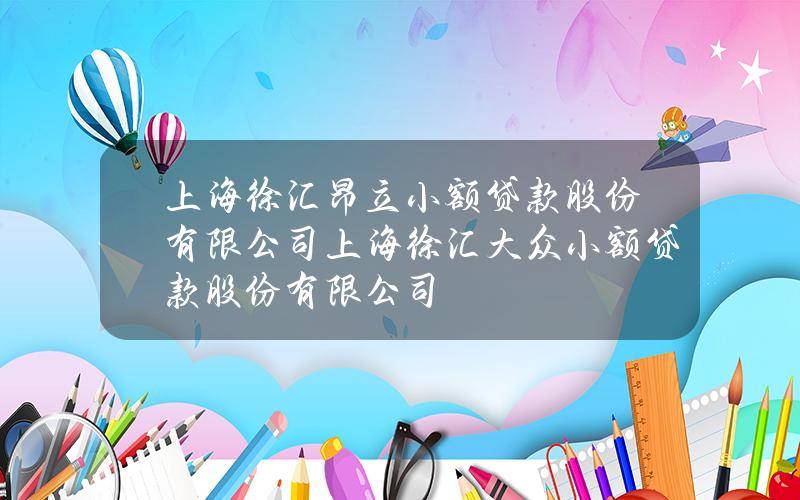 上海徐汇昂立小额贷款股份有限公司(上海徐汇大众小额贷款股份有限公司)