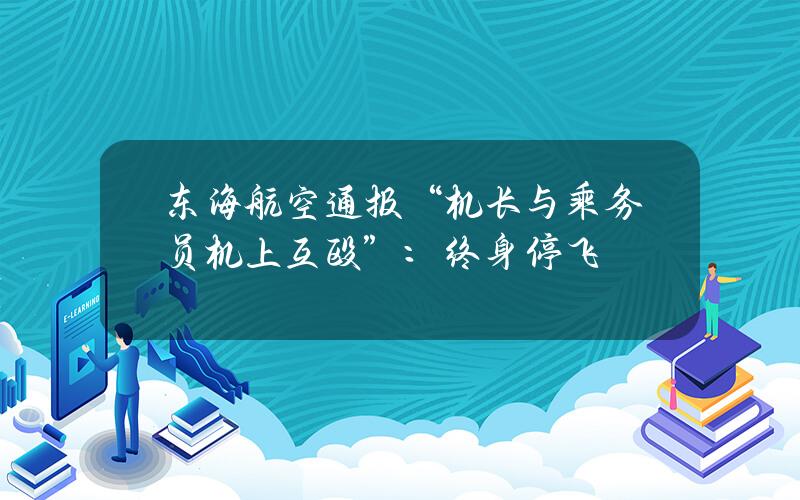 东海航空通报“机长与乘务员机上互殴”：终身停飞