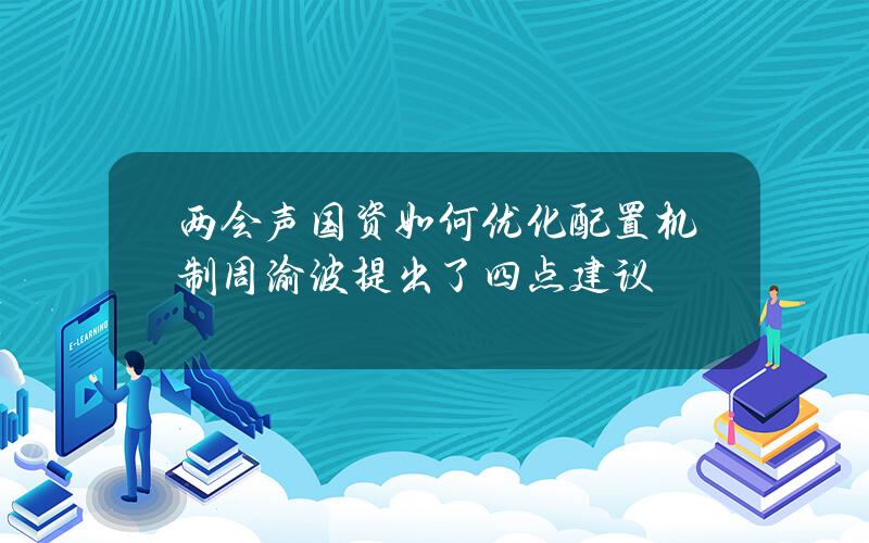 (两会声)国资如何优化配置机制？ 周渝波提出了四点建议