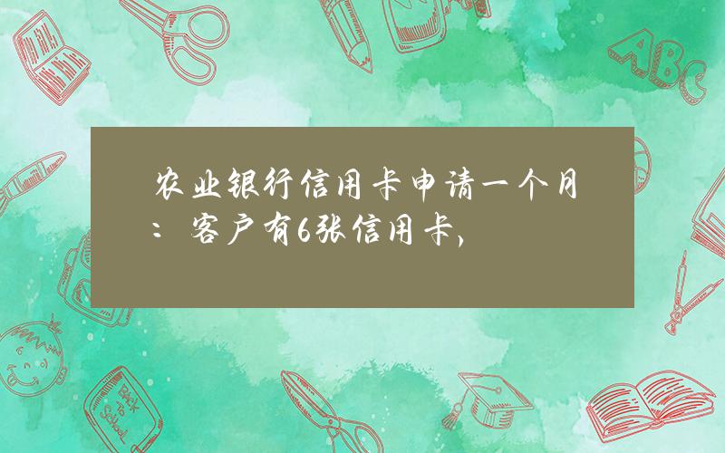 农业银行信用卡申请一个月：客户有6张信用卡，