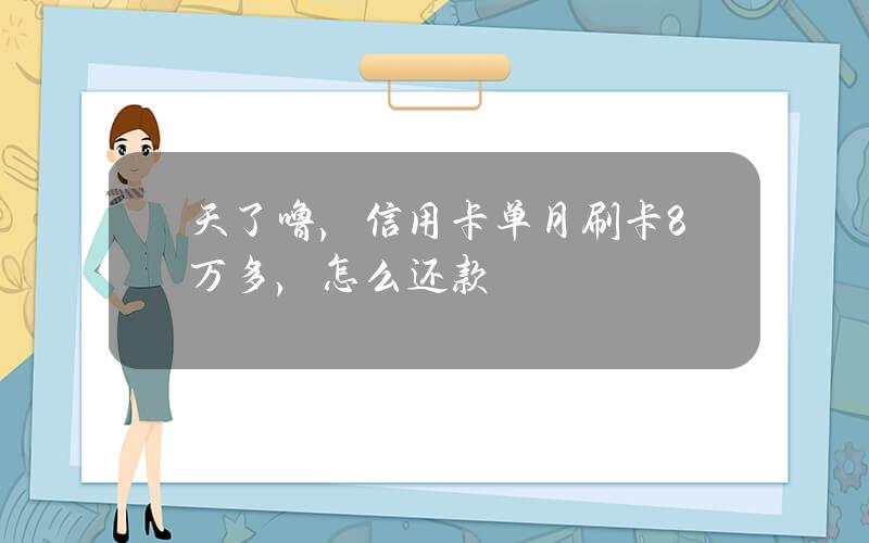 天了噜，信用卡单月刷卡8万多，怎么还款？