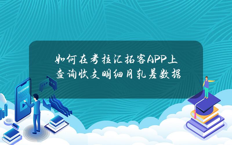 如何在考拉汇拓客APP上查询收支明细月轧差数据