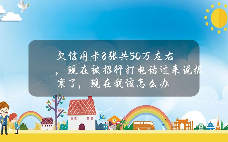 欠信用卡8张共50万左右，现在被招行打电话过来说报案了，现在我该怎么办？