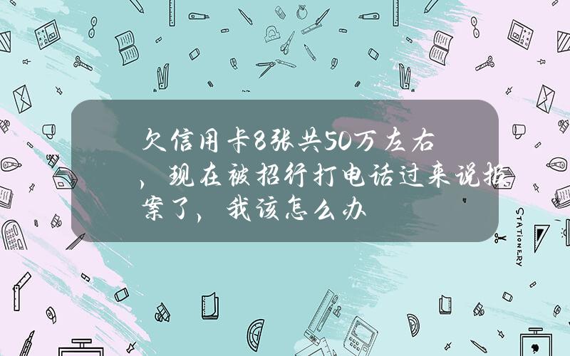 欠信用卡8张共50万左右，现在被招行打电话过来说报案了，我该怎么办？