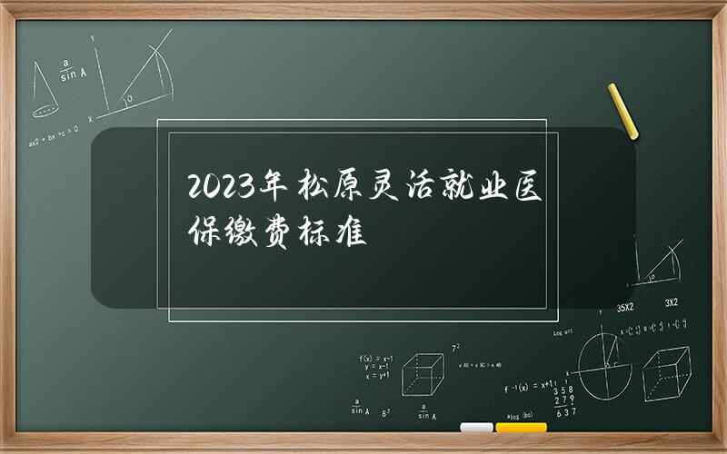 2023年松原灵活就业医保缴费标准