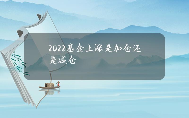 2022基金上涨是加仓还是减仓