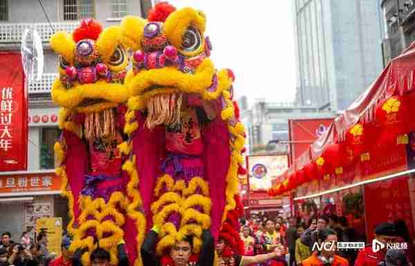 年味复苏！广州今年有望行花街，多区迎春花市正在筹备中