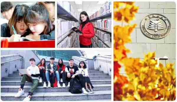 2023北京理工大学3+1/3+2多国留学本硕连读项目项目简章