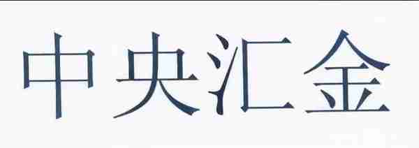 全球最大主权财富基金——中国投资有限责任公司