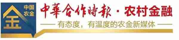 独家丨在不确性中寻找确定性！看这家农商银行如何抢先机、赢未来