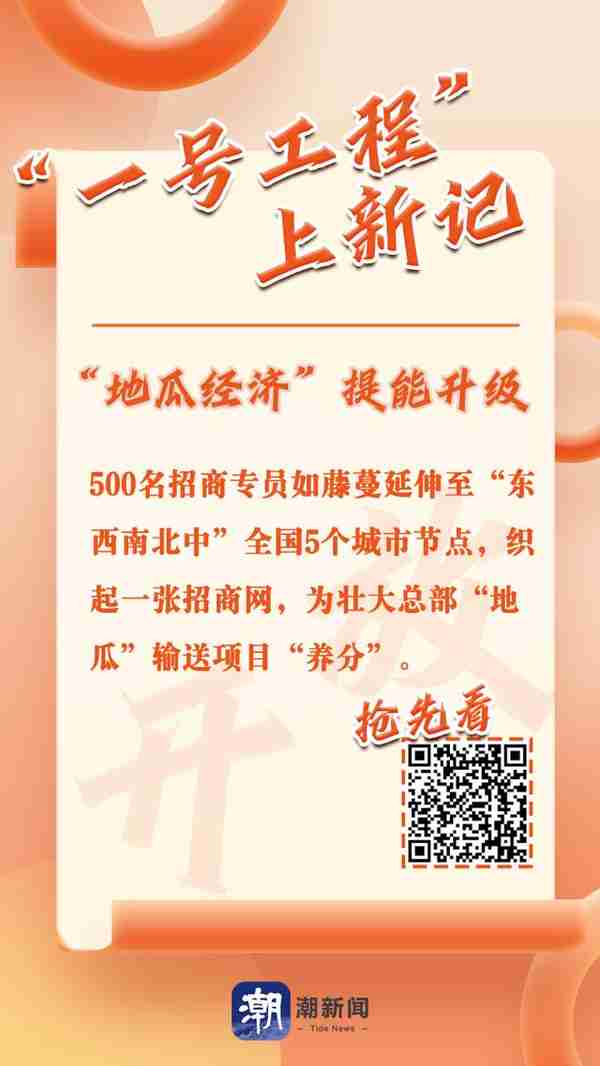 温州500名招商引智专员“藤蔓”延全国