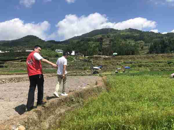 引“金融活水”浇灌柘荣太子参“产业之花”