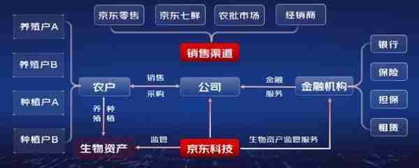 京东科技发布新型农业数字化与金融解决方案 助力乡村振兴