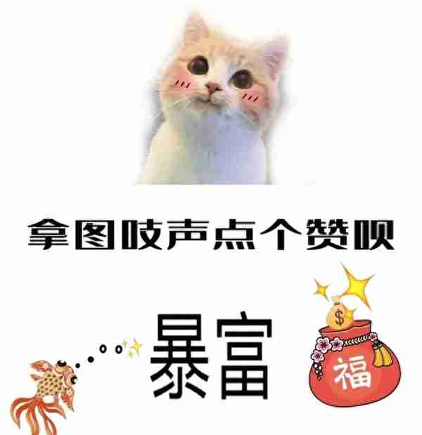 招财猫暴富头像 见者发财