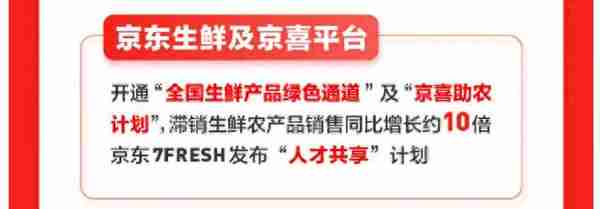 亏损十年终盈利！京东财报亮眼，用户增长超阿里，市值应声暴涨300亿