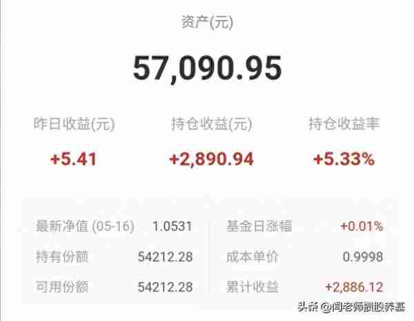 无需用脑，只管买入持有就好，才是最理想的理财方式 持仓配置1