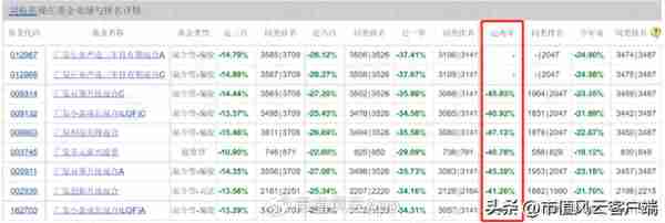 亏到窒息！刘格菘旗下基金今年来平均亏损22%，近两年跌幅均超40%