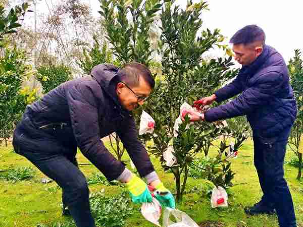 泸州市纳溪区村支书简贤强：用心践诺“守”民心