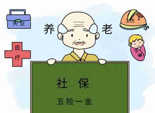 交了31年的社保，个人账户55000，利息有31000，利息算不算总金额