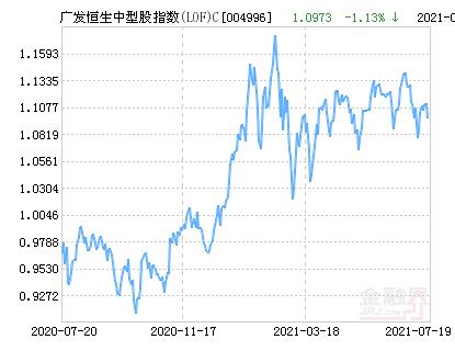 恒生银行股票型基金(广发恒生中型股指数)